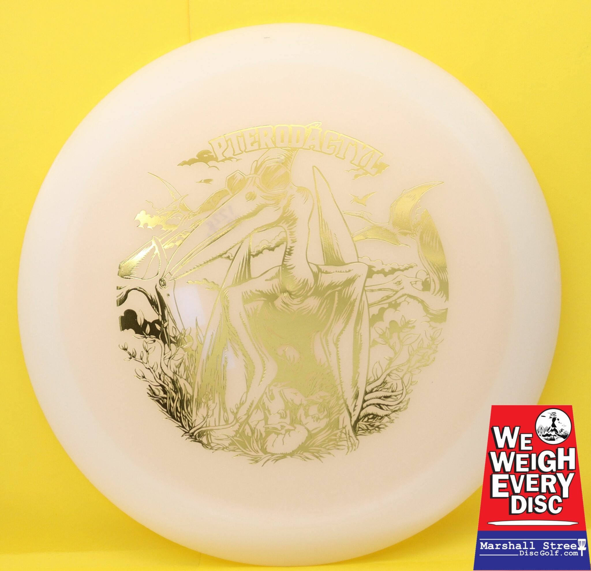 Glow Egg Shell Pterodactyl • Marshall Street Disc Golf